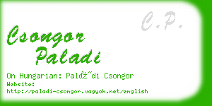 csongor paladi business card